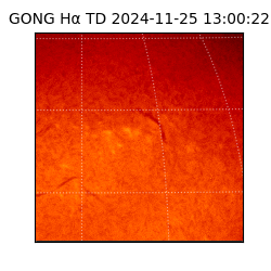 gong - 2024-11-25T13:00:22