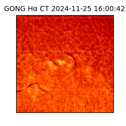 gong - 2024-11-25T16:00:42