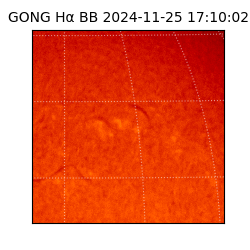 gong - 2024-11-25T17:10:02