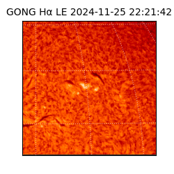 gong - 2024-11-25T22:21:42