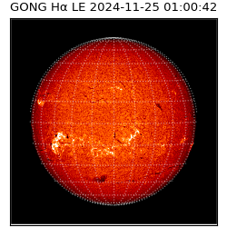 gong - 2024-11-25T01:00:42