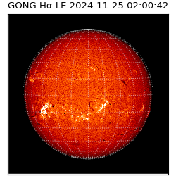 gong - 2024-11-25T02:00:42