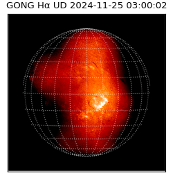 gong - 2024-11-25T03:00:02