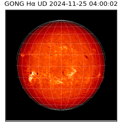 gong - 2024-11-25T04:00:02