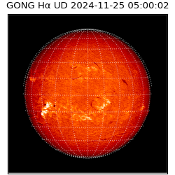 gong - 2024-11-25T05:00:02