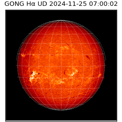 gong - 2024-11-25T07:00:02