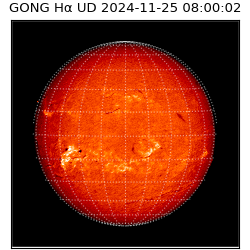 gong - 2024-11-25T08:00:02