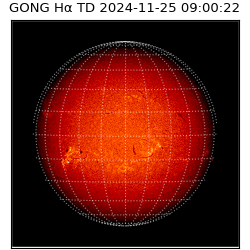 gong - 2024-11-25T09:00:22