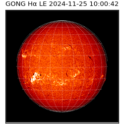 gong - 2024-11-25T10:00:42