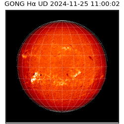 gong - 2024-11-25T11:00:02