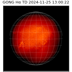 gong - 2024-11-25T13:00:22