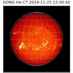 gong - 2024-11-25T15:00:42