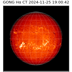 gong - 2024-11-25T19:00:42