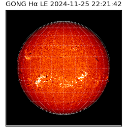 gong - 2024-11-25T22:21:42