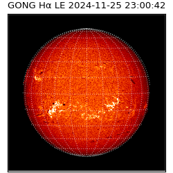 gong - 2024-11-25T23:00:42
