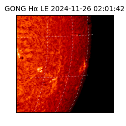 gong - 2024-11-26T02:01:42