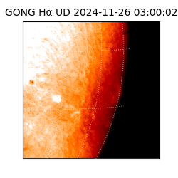 gong - 2024-11-26T03:00:02