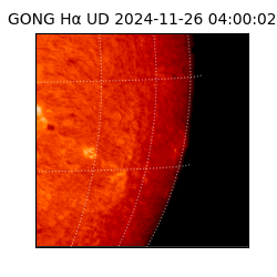 gong - 2024-11-26T04:00:02
