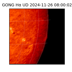 gong - 2024-11-26T08:00:02