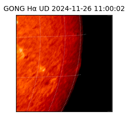 gong - 2024-11-26T11:00:02