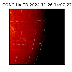 gong - 2024-11-26T14:02:22