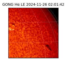 gong - 2024-11-26T02:01:42