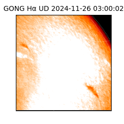 gong - 2024-11-26T03:00:02