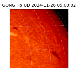 gong - 2024-11-26T05:00:02