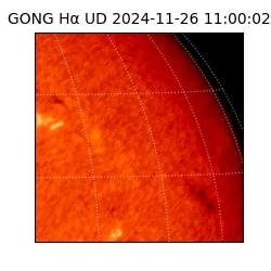 gong - 2024-11-26T11:00:02