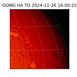 gong - 2024-11-26T16:00:22