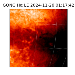 gong - 2024-11-26T01:17:42