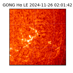 gong - 2024-11-26T02:01:42