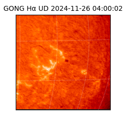 gong - 2024-11-26T04:00:02