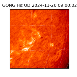 gong - 2024-11-26T09:00:02