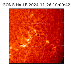 gong - 2024-11-26T10:00:42