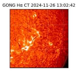 gong - 2024-11-26T13:02:42