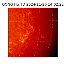 gong - 2024-11-26T14:02:22