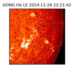 gong - 2024-11-26T22:21:42