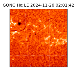 gong - 2024-11-26T02:01:42