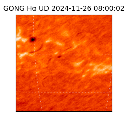 gong - 2024-11-26T08:00:02