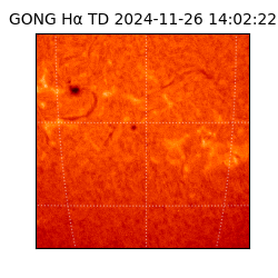 gong - 2024-11-26T14:02:22