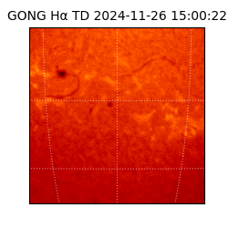 gong - 2024-11-26T15:00:22