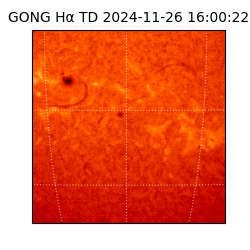 gong - 2024-11-26T16:00:22