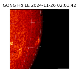 gong - 2024-11-26T02:01:42