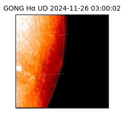 gong - 2024-11-26T03:00:02