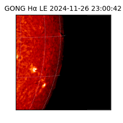 gong - 2024-11-26T23:00:42