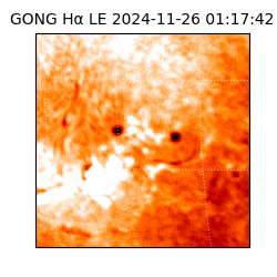 gong - 2024-11-26T01:17:42