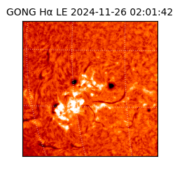 gong - 2024-11-26T02:01:42