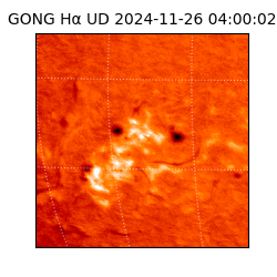 gong - 2024-11-26T04:00:02