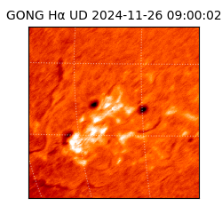 gong - 2024-11-26T09:00:02